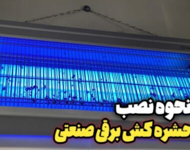 6c593c16-d560-4d90-9ec5-042a63fe8e2a